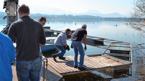 Beim Arbeitseinsatz wurden die Schwimmstege gewassert und der Platz hergerichtet. Foto niessen