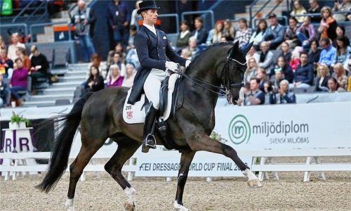 Benjamin Werndl und Daily Mirror zeigten beim Weltcup-Finale eine ordentliche Leistung und belegten Rang zwölf.