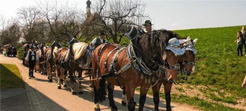 Der Chiemgauer Zehnerzug war beim Georgiumritt eine imposante Erscheinung. Die Pferde waren dem Festwagen der Engelsberger Bläser vorgespannt.