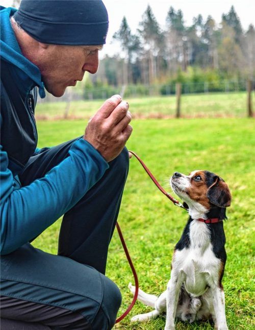 „Der Michael Fischer versteht was von Hunden“, denkt sich Basset Franzi, der Hund von Elisabeth Glaser. Franzi: „Der redet mit mir und ein Leckerli hat er auch noch – heute läuft es prima.“ Fotos thomae