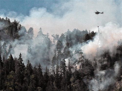 Der Waldbrand am Schwarzenberg hatte im August 2018 die ganze Region in Atem gehalten. Auch derzeit ist die Waldbrandgefahr in der Region wieder extrem hoch. Foto dpa