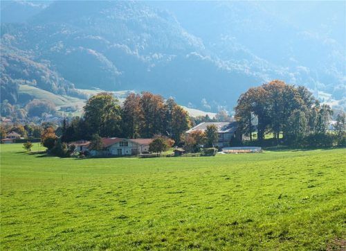 Die Turnhalle steht noch, die Bäume zum Teil nicht. Gestritten wird über den Neubau in Aschau nach wie vor. Foto re
