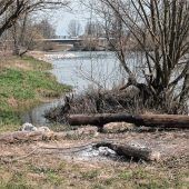 Tödliches Drama an der Mangfall