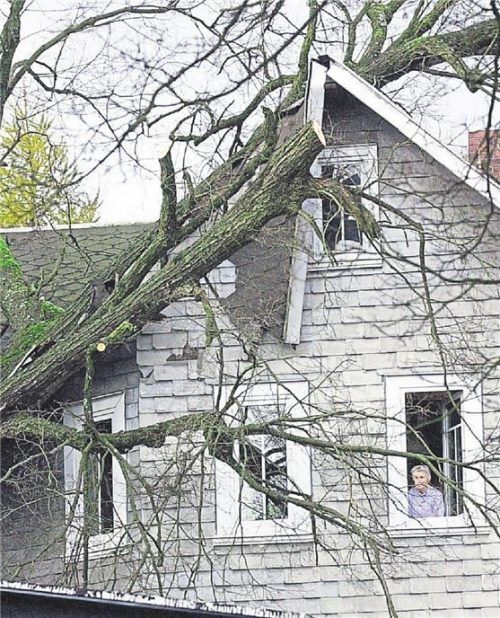 Ein Baum ist auf dieses Haus gekippt Foto dpa