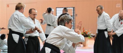 Frische Impulse für die Waldkraiburger Aikidoka brachte der Meister.