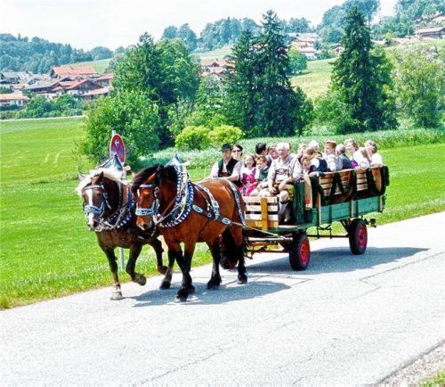 Informationen rund um die Landwirtschaft werden auf zwei neuen Wegen, die derzeit am Samerberg erarbeitet werden, gegeben. Beim Hoffest Ende April finden auch Pferdekutschenfahrten rund um Grainbach statt.Foto hö