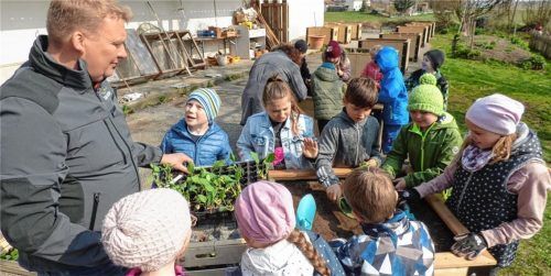 Jede Klasse der Taufkirchner Grundschule betreut bis zum Ende des Schuljahres drei Hochbeete. Umweltbewusstsein und Klimaschutz sollen auf diese Weise nachhaltig im Bewusstsein der Kinder verankert werden. Foto  re