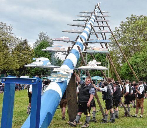 Kraft, Geschicklichkeit und Zusammenarbeit sind beim Maibaumaufstellen gefragt. Unser Bild ist in Stephanskirchen entstanden. Foto Schlecker