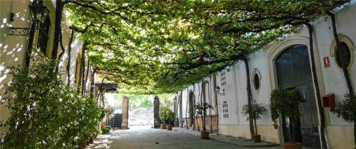 Majorelle-Garten in Marrakesch. Fotos bernd kregel