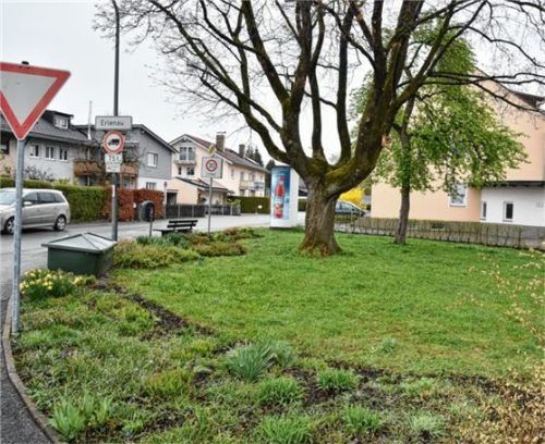 Mehr Grün: Diese Fläche in der Erlenau soll optisch aufgewertet werden, fordert die SPD-Fraktion. Foto Schlecker