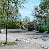 Ratten an vollgemüllter Wertstoffinsel