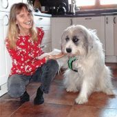 Auch Tiere in Würde bestatten