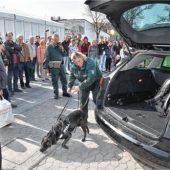 Über 50000 Besucher