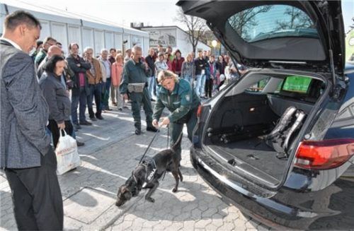 Spurensuche am Samstag auf der Messe Rosenheim: Ein Zollhund erschnüffelt illegal eingeführte Waren. Foto Schlecker