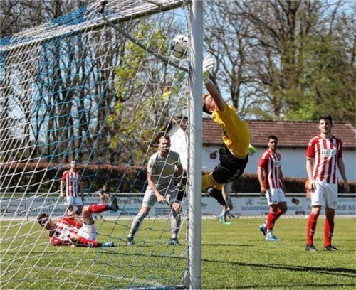 ...und der Ball landet im Winkel des Buchbacher Tores. Gäste-Torwart Manuel Glasl streckt sich vergebens.Fotos Habermann