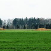 Brunnen werden aufgelassen