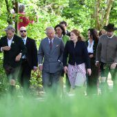 Der Prinz bei der Bienenkönigin