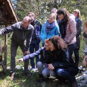 Die neue Bienen-Begeisterung