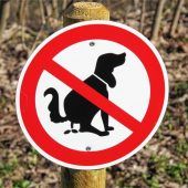 In Jettenbach: Den Herrchen und Frauchen scheint‘s egal zu sein
