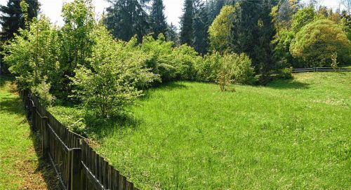 Auf diesem Areal am Mesnerhang, direkt angrenzend an den Kindergarten St. Martin, soll die neue Waldkindergartengruppe ihr Zuhause finden. Fotos hoffmann