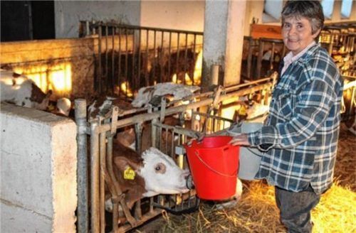 Bäuerin Rosemarie Pflügl beim Füttern ihrer Kälber. Foto red