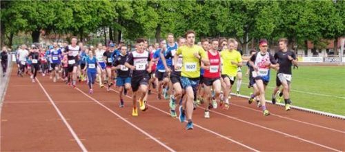 Das Starterfeld beim Hobby- und Hauptlauf kurz nach dem Startschuss.