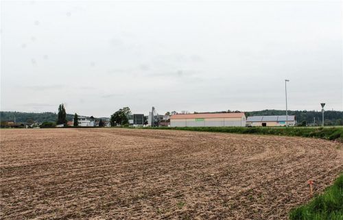 Mit 394 Unterschriften ist das Bürgerbegehren gegen das geplante Gewerbegebiet gültig. Der Gemeinderat will nun ein eigenes Begehren starten. Foto  Archiv Lohmann