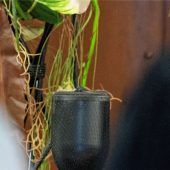 Krematorium: Standort in Kolbermoor?