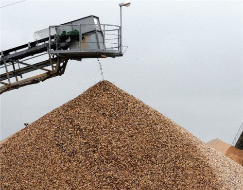Ein Kiesbagger fördert in einem Werk Kies zu Tage. Heimische Betreiber befürchten, nicht mehr an genügend Rohstoffe zu kommen, weil Flächen knapp sind und Genehmigungen für neue Abbaugebiete zu lange dauern.Foto dpa