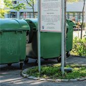 Stadt kämpft gegen Ratten