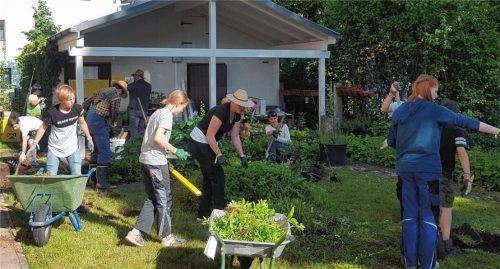 Verwandlung: Am Ende der Aktion soll der Pfarrgarten von „Heilige Dreifaltigkeit“ ein Bibelgarten sein.Fotos  Koch