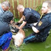 Reh macht Polizisten nass