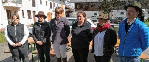 Prüfung bestanden (von links): Stefanie Kapsegger, Annemarie Ferlinz, Kathrin Gruber, Petra Meisl, Elisabeth Mitterfellner und Tobias Salzeder dürfen nun Ein- und Zweispänner im öffentlichen Straßenverkehr führen.Foto  re