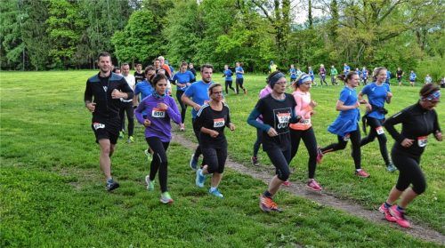 Weite Strecken des Burgfeldlaufs waren die Läufer auf Feldwegen unterwegs. Fotos re