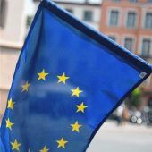 Von Piraten, Violetten und Grauen Panthern