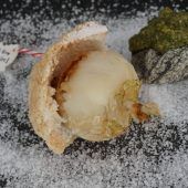 Heute: Mairüben im Salzteig und Pesto & Leberspätzle in Rinderbouillon