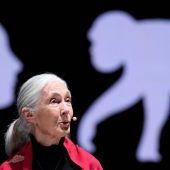 „Das Zeitfenster schließt sich“