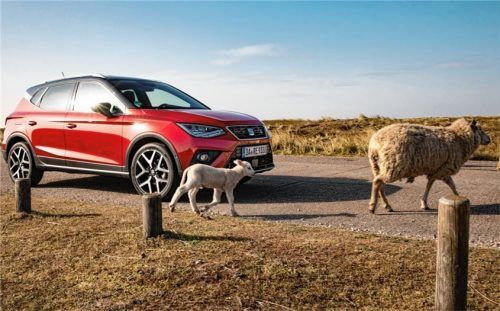 Auch erdgasangetriebene Fahrzeuge senken die CO2-Belastung. Foto ampnet/Seat: