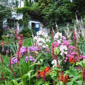 Bienen retten leicht gemacht