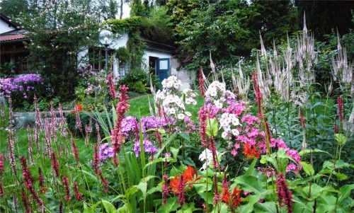 Bei der Gestaltung der Blumenbeete sollten Gartenbesitzer auf die Auswahl der Pflanzen achten. Denn nicht alle Pflanzen blühen schön und bieten einen Mehrwert für Insekten. Foto Leukert