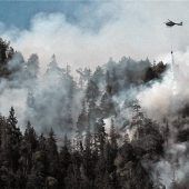 Waldbrandgefahr in der Region steigt