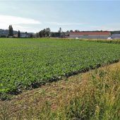 Kritik am geplanten Gewerbegebiet
