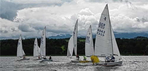 Die Kielzugvögel auf Vorwind-Kurs auf dem Simssee.Foto Niessen