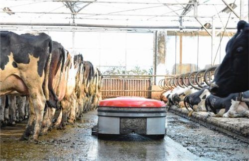 Die Route des Reinigungsroboters kann programmiert werden. Fotos Lely