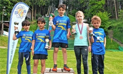 Die Sprung-Sieger vom WSV Oberaudorf in Auerbach: von links Nikolai Holzer, Elias Holzer, Lukas Holzer, Sara Johannsen und Zeno Rumpfinger (von links). Foto Lotter