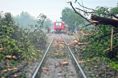 Dieses Symbolbild vermittelt einen Eindruck davon, was umstürzende Bäume anrichten können. Hier springt ein Regionalzug aus den Gleisen. Bei dem Unfall eines Meridian auf der Bahnstrecke München-Rosenheim reagierte der Zugführer besonnen und schnell, als ein Baum aufs Gleis fiel. Er leitete eine Intervall-Notbremsung ein.Foto  dpa
