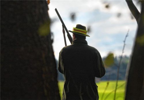 Ein Jäger mit einem Gewehr im Anschlag: Ein Ehepaar aus Siegsdorf will auf seinem Grundstück eine sogenannte „jagdrechtliche Befriedung“ durchsetzen. Foto dpa