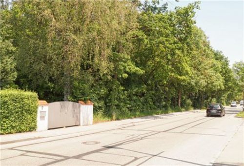 Ein Waldstreifen nördlich der Daimlerstraße trennt die Wohnbebauung vom Gewerbegebiet. Dessen geplante Erweiterung würde den Abstand zwischen Wohnen und gewrebe deutlich verringern.