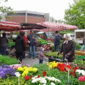 Ein Fest für die Sinne–der Wochenmarkt