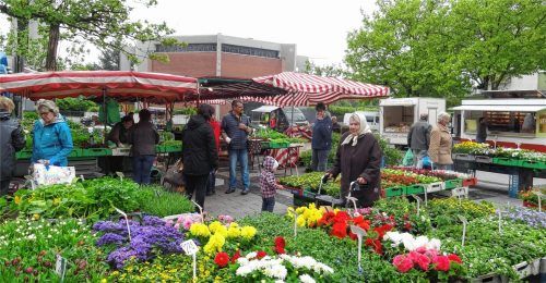 Mit einer Handvoll Standl fing es an. Vor 50 Jahren organisierte das Ehepaar Boenisch den ersten Wochenmarkt hinter dem Polizeigebäude. Damals wie heute auf dem Sartrouville-Platz freuen sich die Kunden an farbenfrohen Blumen und legen bei den Lebensmitteln großen Wert auf Frische und Qualität. Fotos  Meier